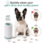Clean Dirty Paws in Seconds